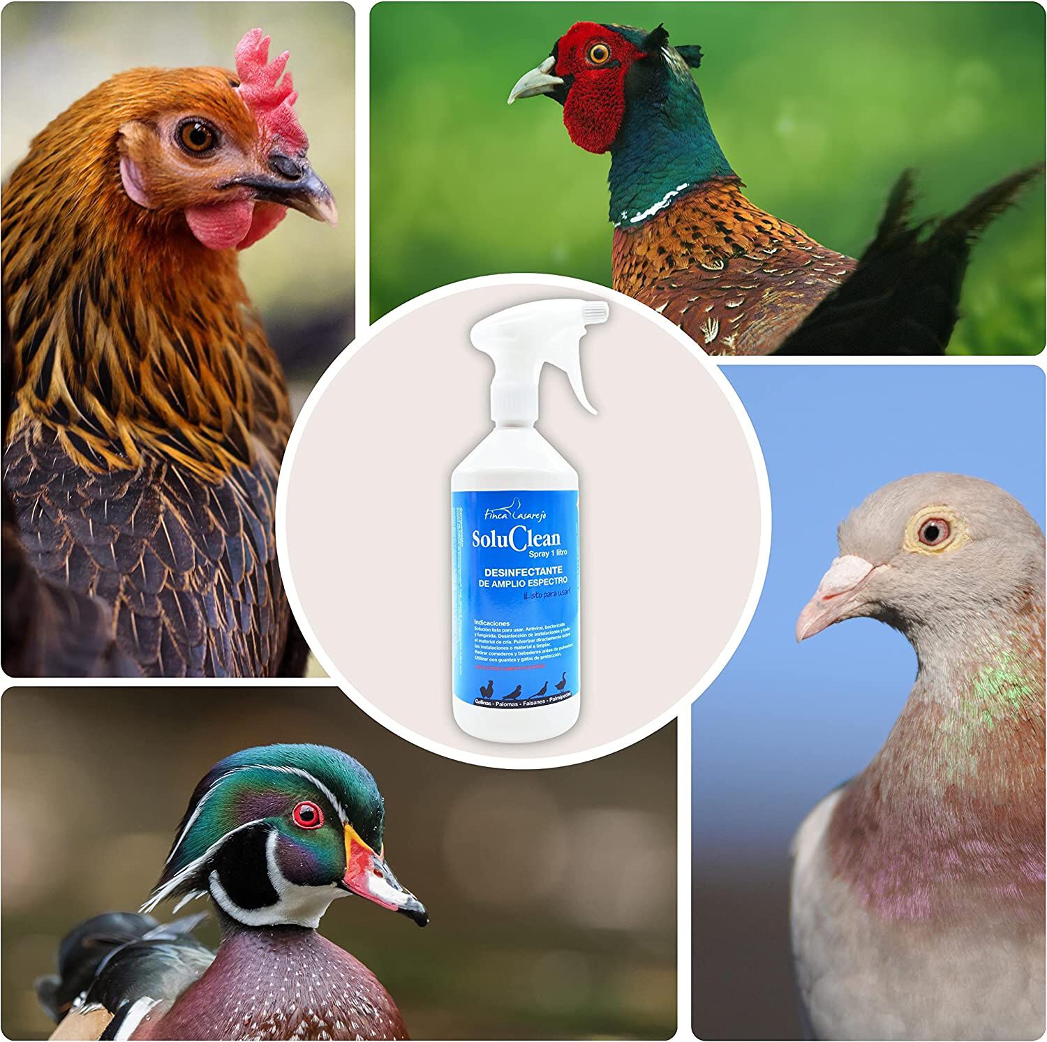 Finca casarejo soluclean producto de desinfecci&oacute;n de plantas naturales para instalaciones, , large Imagen numero 3